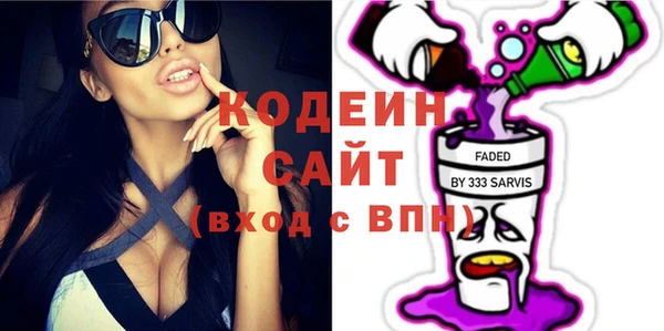 индика Краснотурьинск