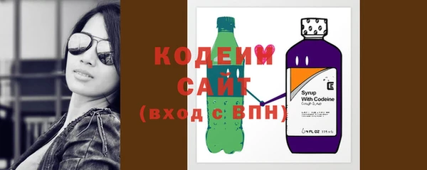 индика Краснотурьинск