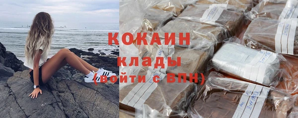 индика Краснотурьинск
