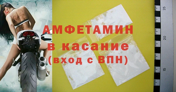 индика Краснотурьинск