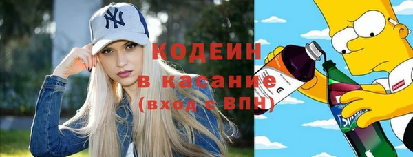 индика Краснотурьинск