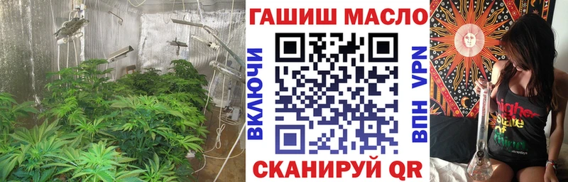 где можно купить   Костерёво  ТГК вейп 